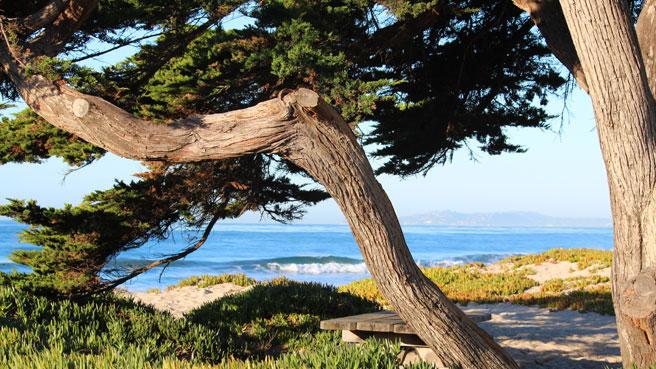 ChristyLinder's tweet photo. This will be our camping site in 2 weeks!! @jason_sharp #onenightgetaway #camping #california http://t.co/HWLDinzr7d