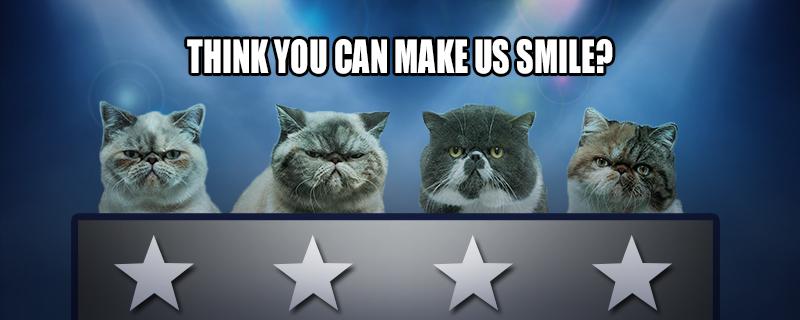 O2's tweet image. Could you cat cheer up Simon Miaow-ell? They could be in our next ad, tweet pics &amp;amp; #O2HappyCat o2.uk/happycat