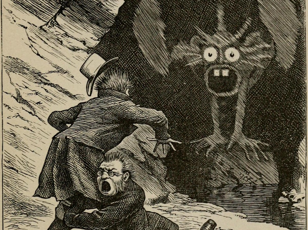 The Paris Review tweet media