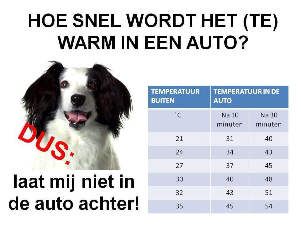 Morgen wordt het warm☀️   Het wordt heel snel heel heet in een auto!