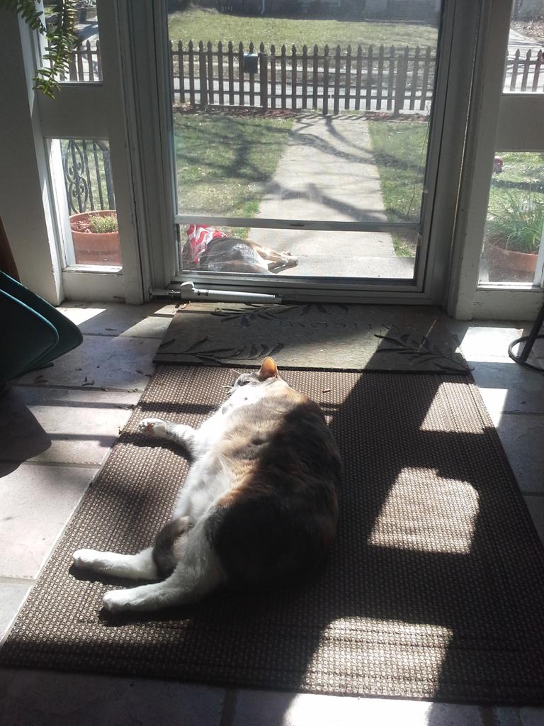 alscich's tweet photo. You'd think threse lazy pets just pulled a 30 hour shift pulling pots. #CatchCrew http://t.co/rDvZMXnmS4