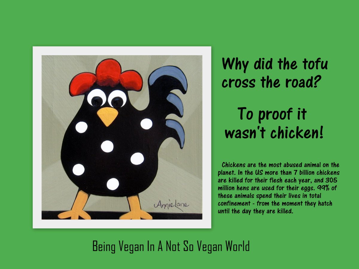 #vegan #tofu #chickens