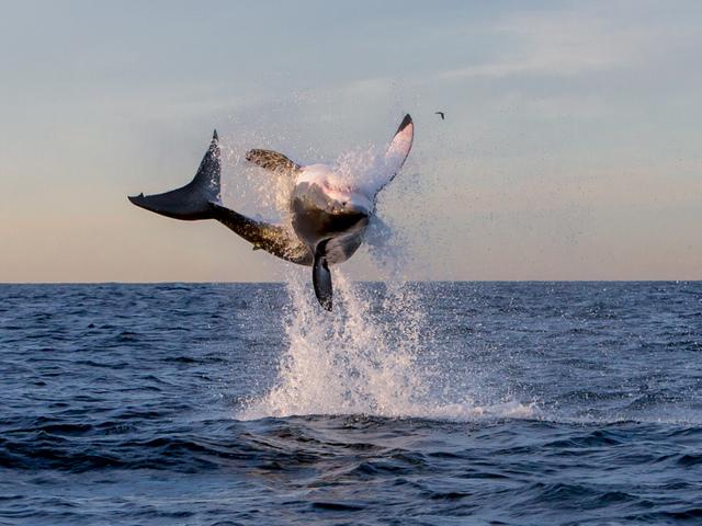 RockStarLydia tweet picture