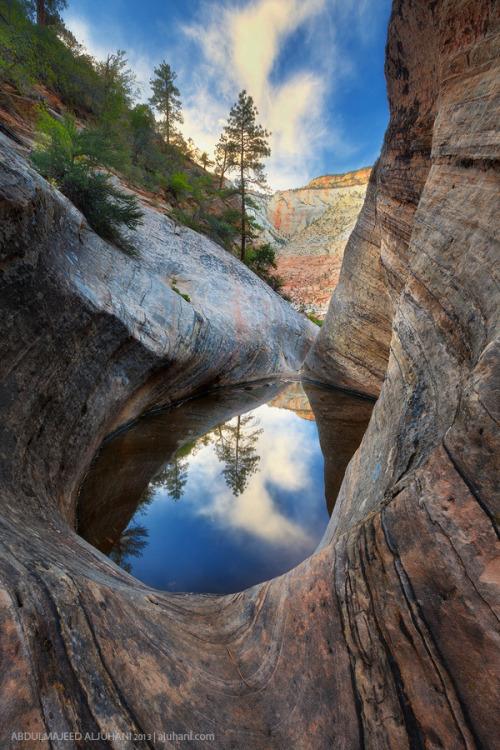 PicEarth_'s tweet photo. hidden Canyon Reflection - Zion National Park, Utah, United States http://t.co/boeaYzaksm