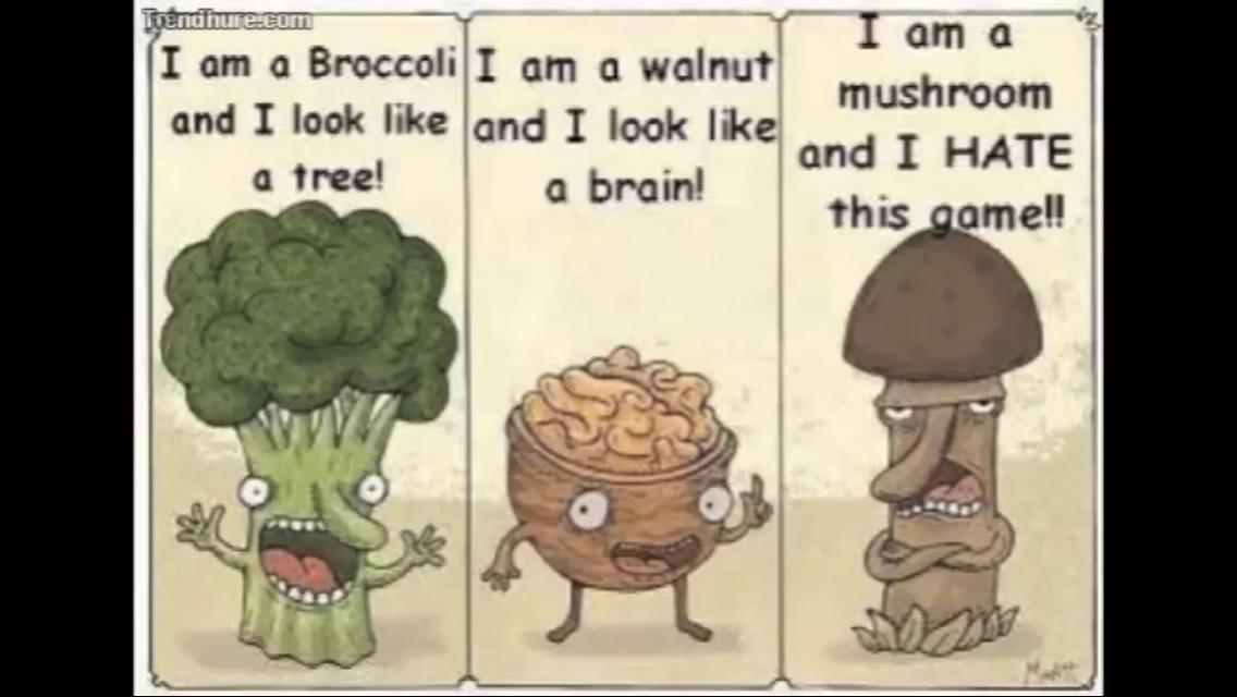 5Rachelmitchell's tweet image. 😜😂