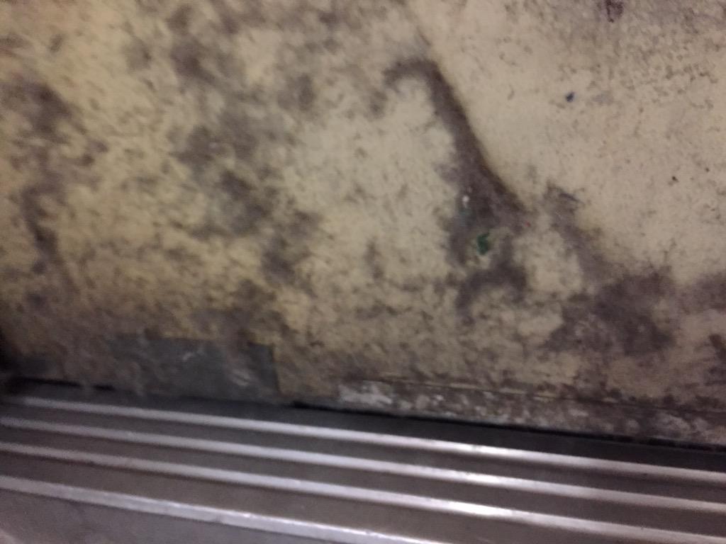 Looking at more bad maintenance and more fine repair work today.