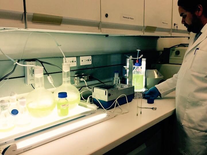 Phycore's tweet photo. Preparing the inoculum to start the pilot Phycoremediation plant at the slaughterhouse Camaguey. #AlgaePower http://t.co/wX68p9ndCM