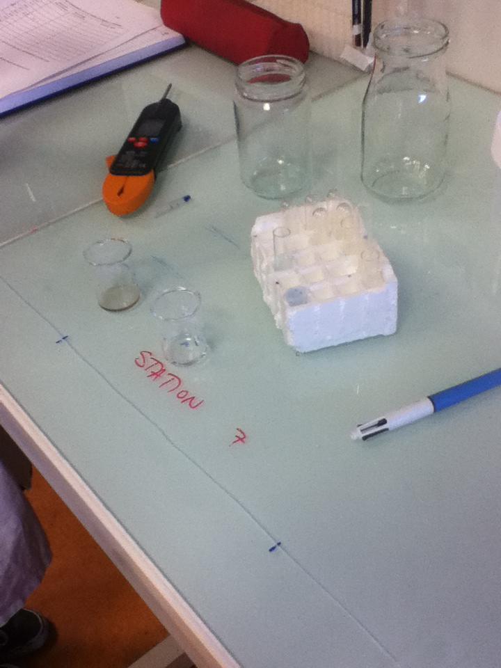 Mesure de l'activité de la catalase en chronométrant l'encre poussée par le dioxygène dans le tuyau! #ThermalWars