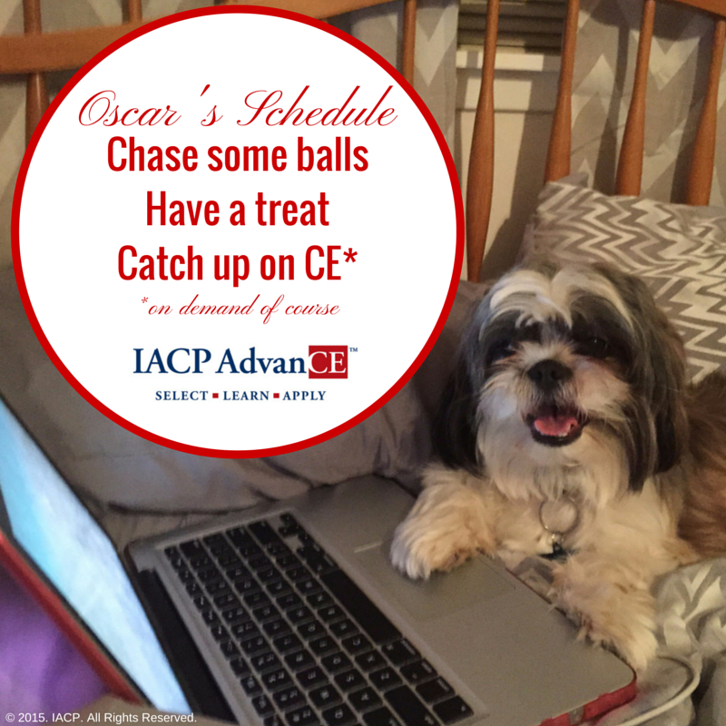 a4pcrx's tweet photo. Busy like Oscar? Then check out our AdvanCE webinars on demand! http://t.co/tV0HMIXbgj http://t.co/yEYMu9Z08x