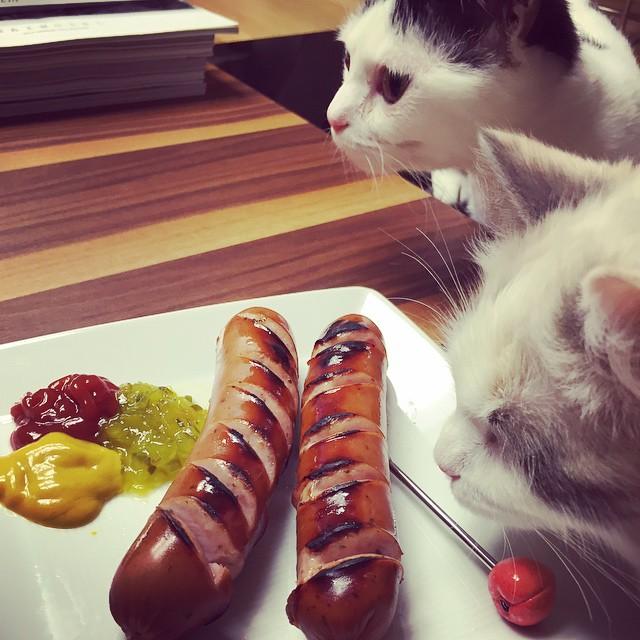 埋め込み画像への固定リンク