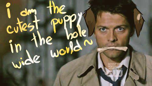 The angel of the Lord has a secret- a cute secret and I'm proud of it too!
Please RT and let's RP.
Thank you!
^.^