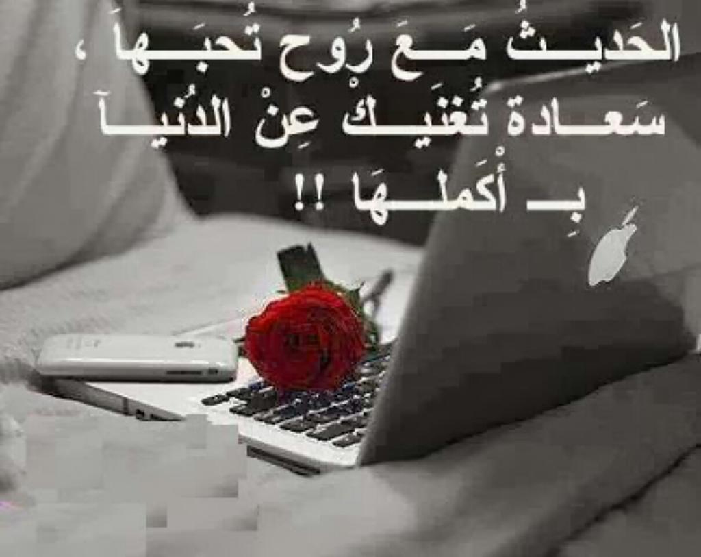 "<a href="/ghhc466/">عاشق الضباب</a>: "