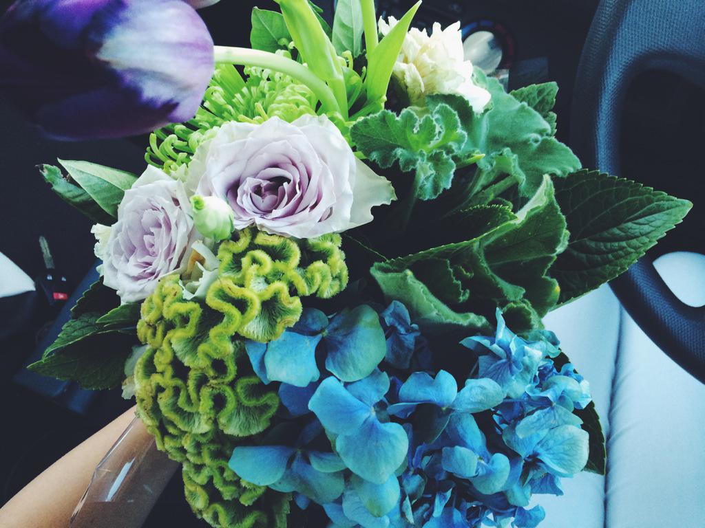BrittaniDoherty's tweet photo. #blooms http://t.co/qoaoPIbeM5