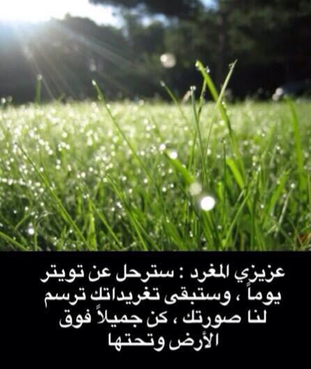 bander19009's tweet photo. http://t.co/PwGh0hhcrI