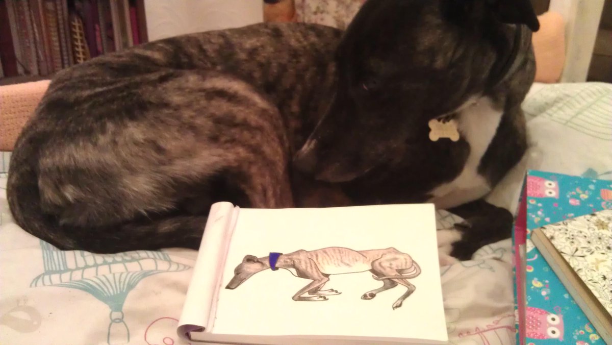 BubbulaHound's tweet photo. Meself and a picture of meself. http://t.co/2vtIik8Cqr