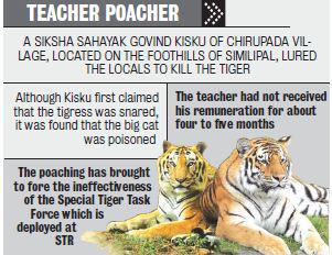 NoAnimalPoachin's tweet photo. COMMENT/#India: Unpaid...5 Months, #Teacher #Instigates #Villagers..#Poach #Tigers..#Similipal http://t.co/AKwNILvi6M http://t.co/xSgDnZV6JE