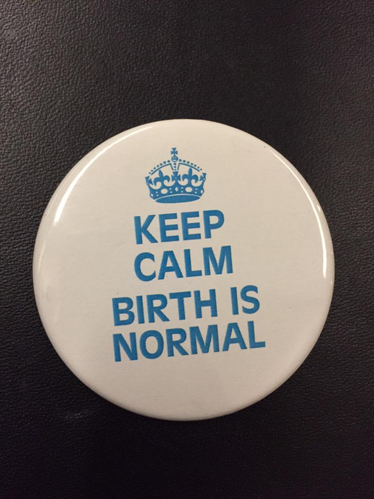 LauraEBRice's tweet image. Met some midwives at the Capitol today, made friends #AB1306