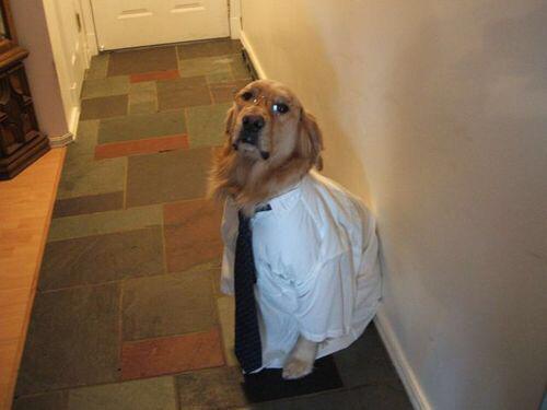 ItsLaQueefa's tweet photo. no pam i dont want a bagel im already going to be late have you seen my keys http://t.co/97Po4hEb5j