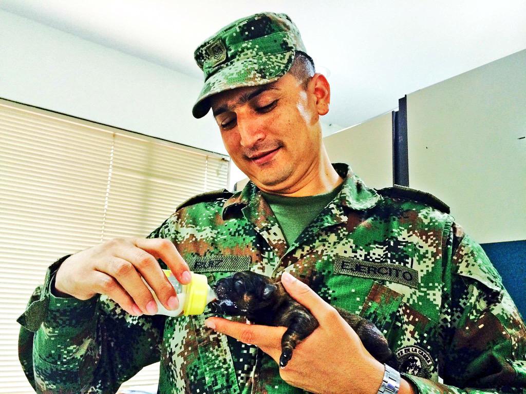 Ejercito De Colombia tweet media