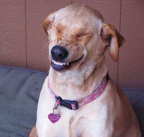 StumblerTop's tweet photo. When you remember something stupid your friends did http://t.co/zptiXGyJUe