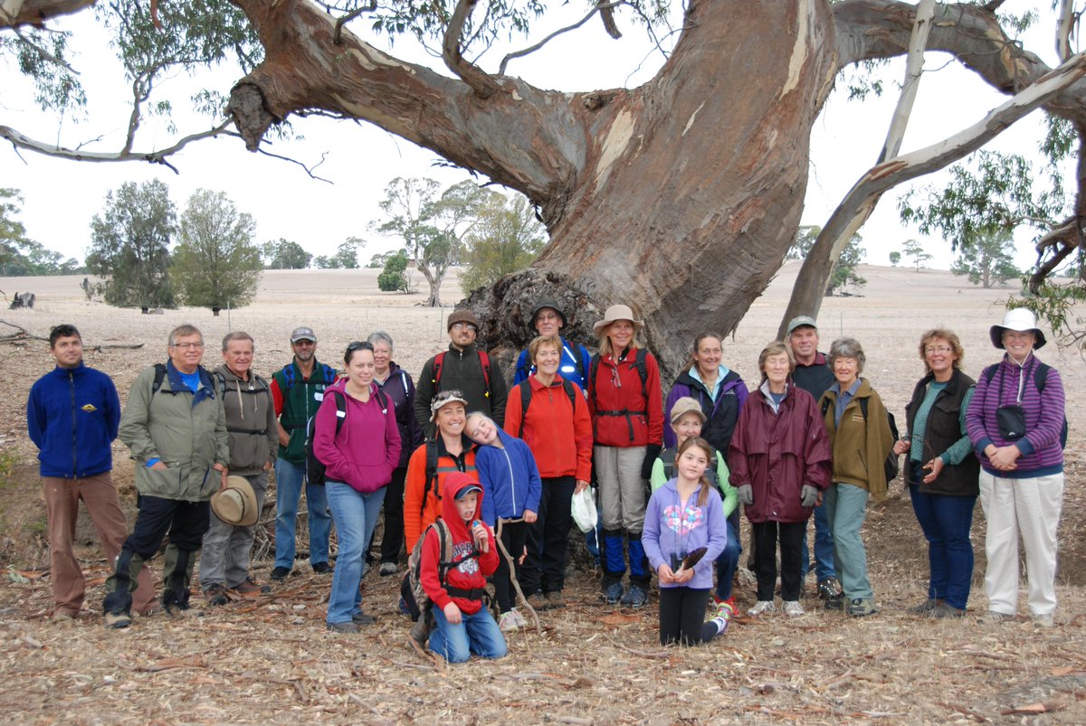 Landcare not just weeds and planting trees.  40 participants walked 80kms along Mount William Creek.  Wonderful!