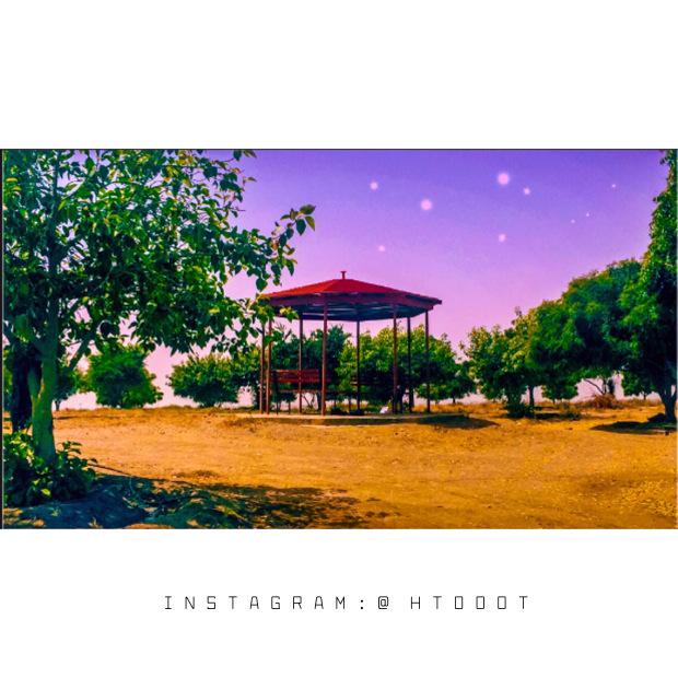 hiish0's tweet photo. هدوء الصباح يأتي بأمنيات لا ﻧهاية ﻟها 
فيارب اكتب لنا ﻣن خيرك ما لم يخطر ببالنا 

#صباح_الجوري http://t.co/BNbJYo0oCo