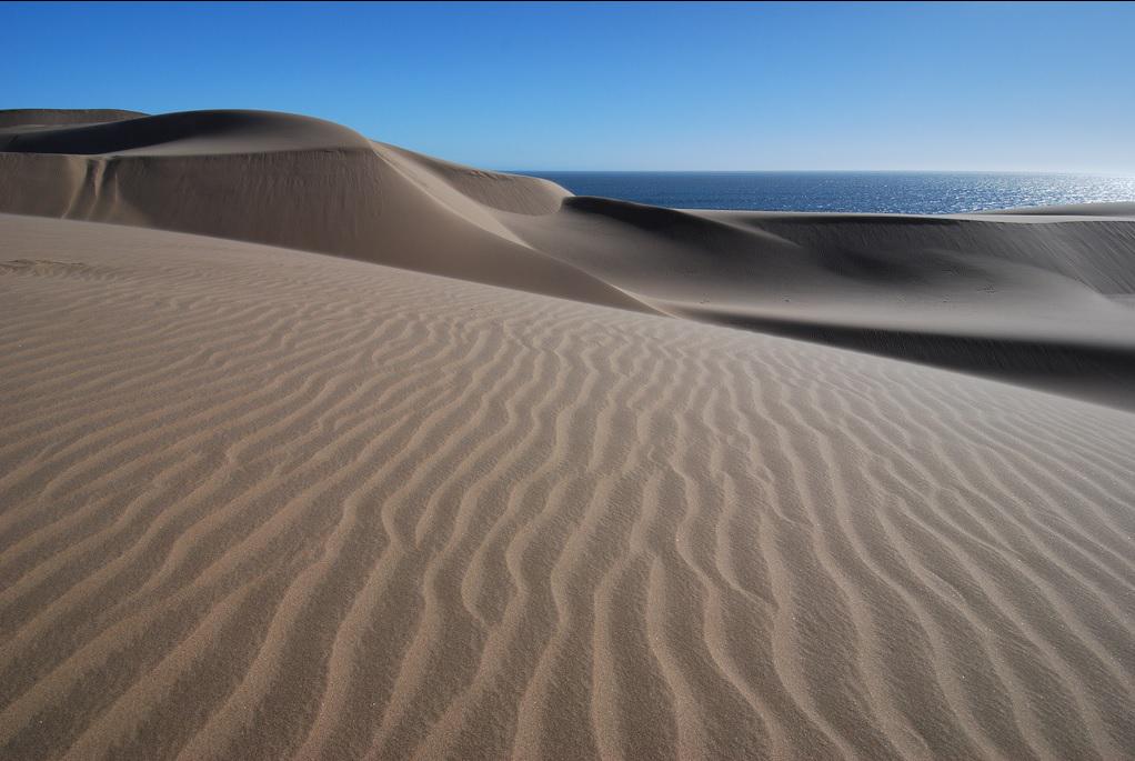 Namib Desert meets the sea