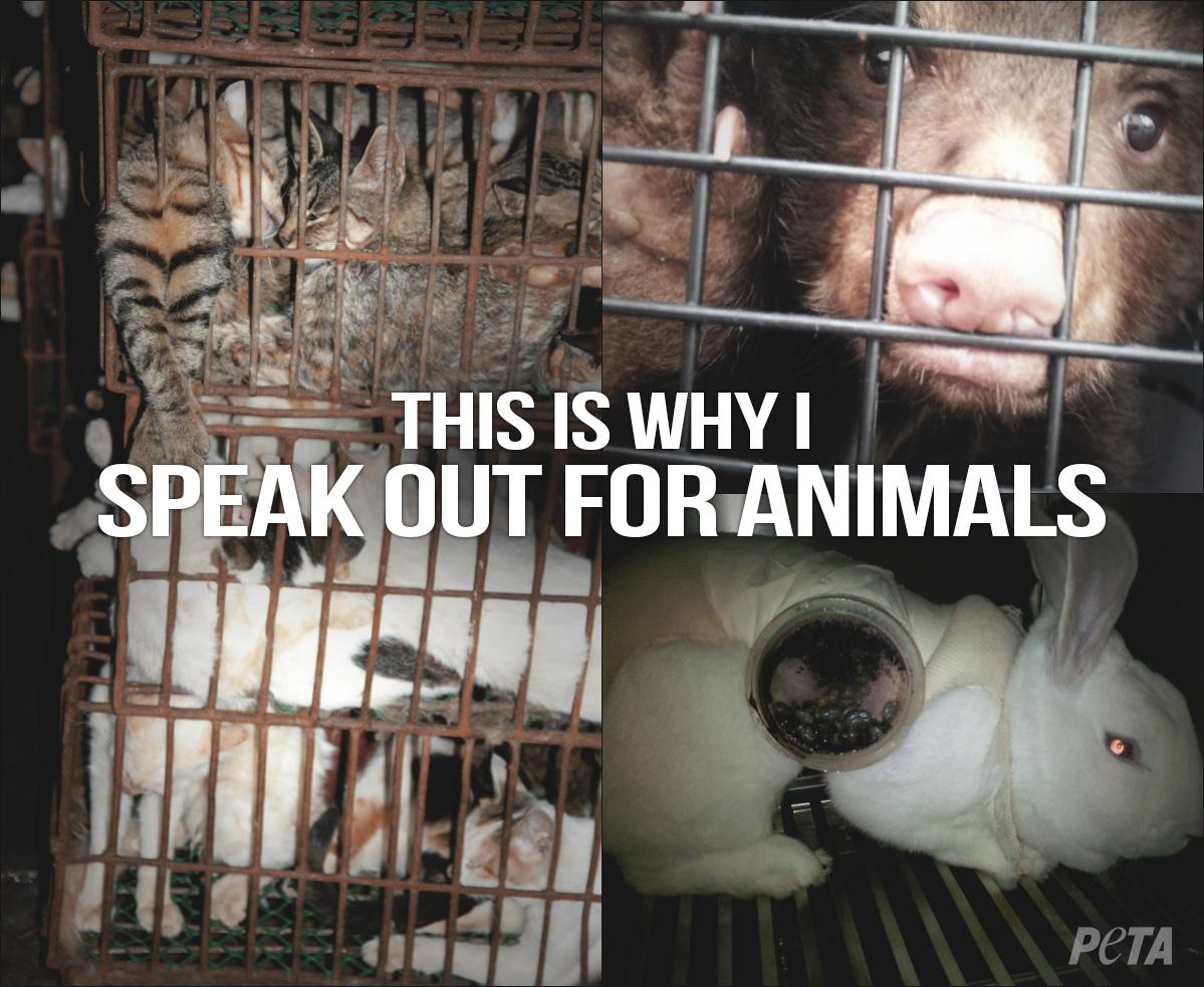 peta's tweet image. WE ARE THEIR VOICE.

RT if you are NEVER silent about animal abuse! #NeverBeSilent