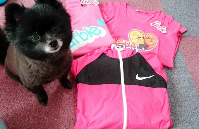 バービーちゃんの洋服とNIKEのパーカー届いた󾭠ピンク色の洋服大好き💓&hearts;❤癒される󾭠ユリアちゃんも写りたかったみたいなの󾭠 http://t.co/wP4Nf888jM