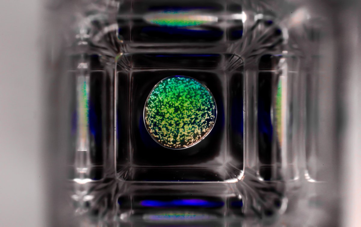 LabonaChip's tweet photo. Finally here is a reminder of Art-in-Science 2014 Competition Winner! @KAUST_News @usnistgov http://t.co/8vnQztxhiX http://t.co/3zdc8v5NWi