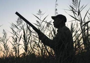 TheTimesofMalta's tweet image. Protected bird shot this morning in Manikata bit.ly/1zfTkgK