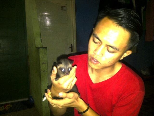 Rizal setiawan tweet media