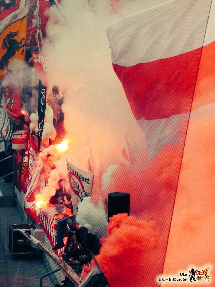 TheRealUltras tweet media