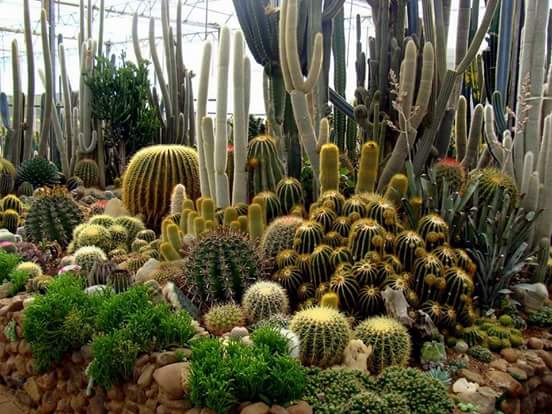 touk1978's tweet image. 