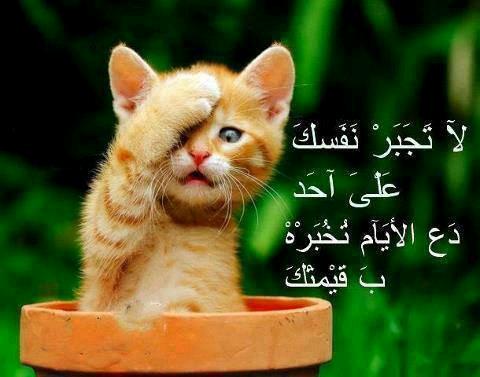 ndm10098's tweet photo. http://t.co/zbLUZAYvvb