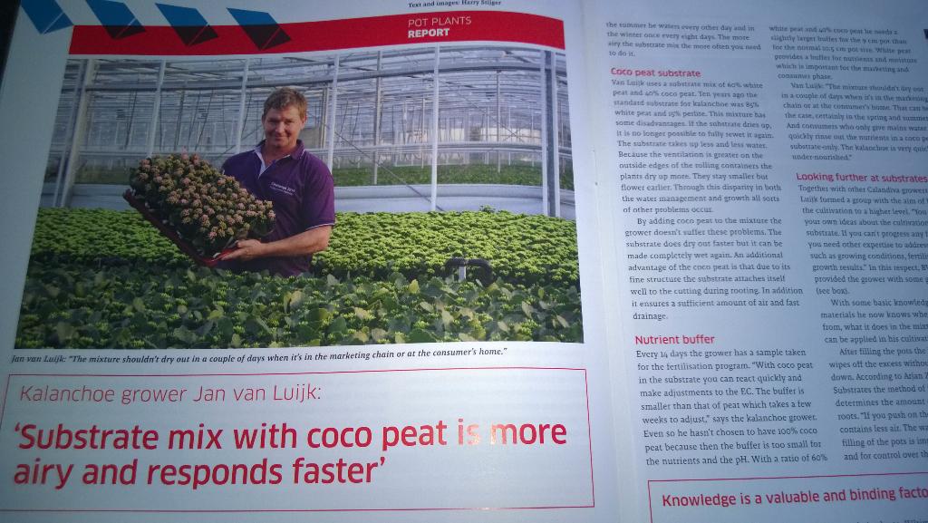 DutchPlantin's tweet photo. Valuable article in @ingreenhouses on the advantages of #cocopeat for #Kalanchoe growing. http://t.co/Vwl9XwXd4u