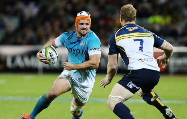 download sa rugby 24 download sa rugby 24