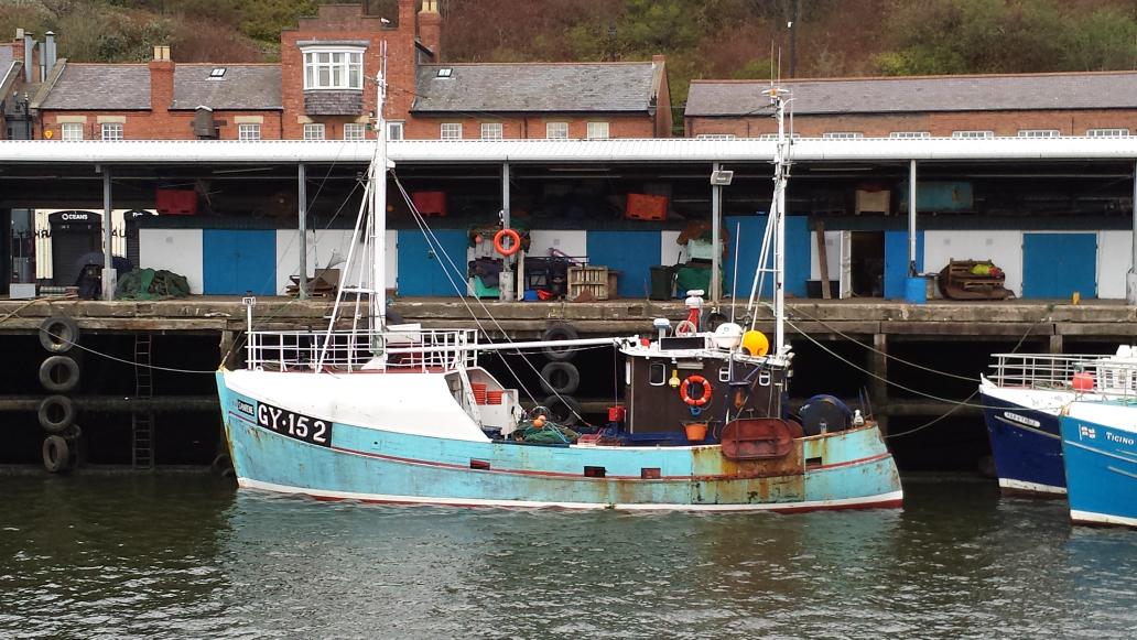 Claire Pescod (@peskycod) on Twitter photo Quite a quiet market this morning at #NorthShields. Lots of whiting around. Thanks <a href="/NSFQco/">NorthShieldsFishQuay</a>! #iceicebaby Quite a quiet market this morning at #NorthShields. Lots of whiting around. Thanks <a href="/NSFQco/">NorthShieldsFishQuay</a>! #iceicebaby