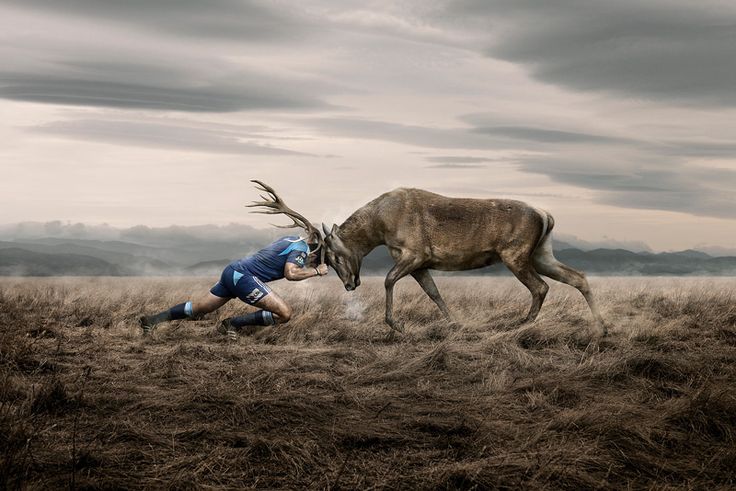 Человек толкает камень в гору. Упорство. Упорствовать картинка. Упорство мотиватор. Упорств вать.