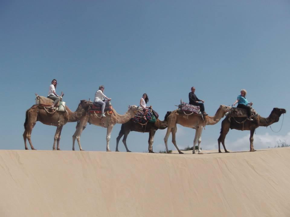 Camel ride with our guests. Love it. So many things to do here.