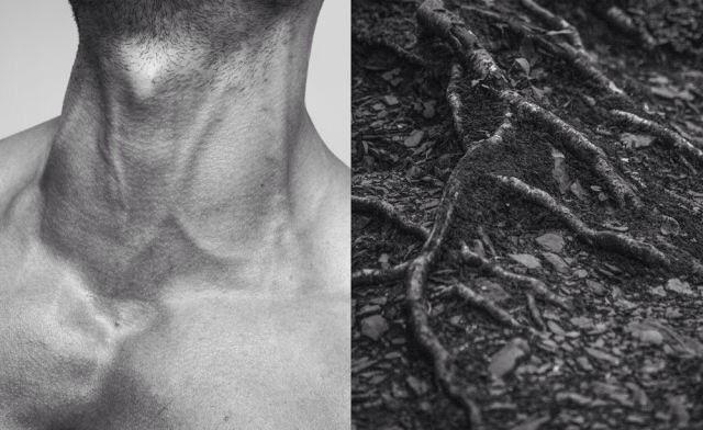 bodycompared's tweet image. 