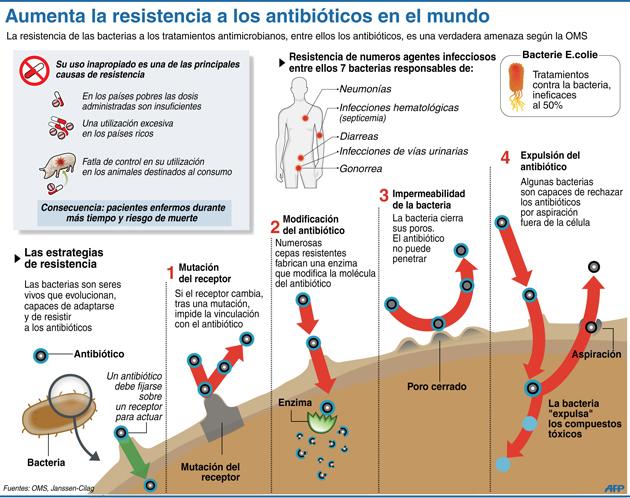 Los antibióticos hinchan la barriga