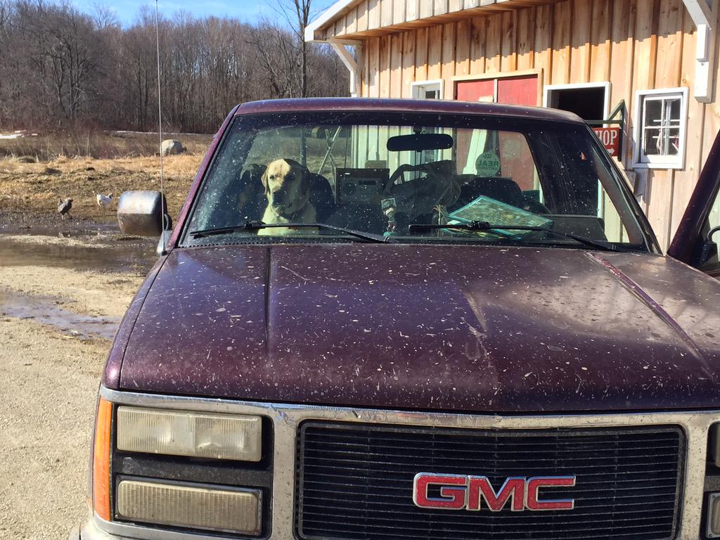 OspreyBeekeeper's tweet photo. ..#beedog always willing, ready ...impatient to go "watch" me feed #bees 😊 #beeag #workscout http://t.co/PvoiavbVcF