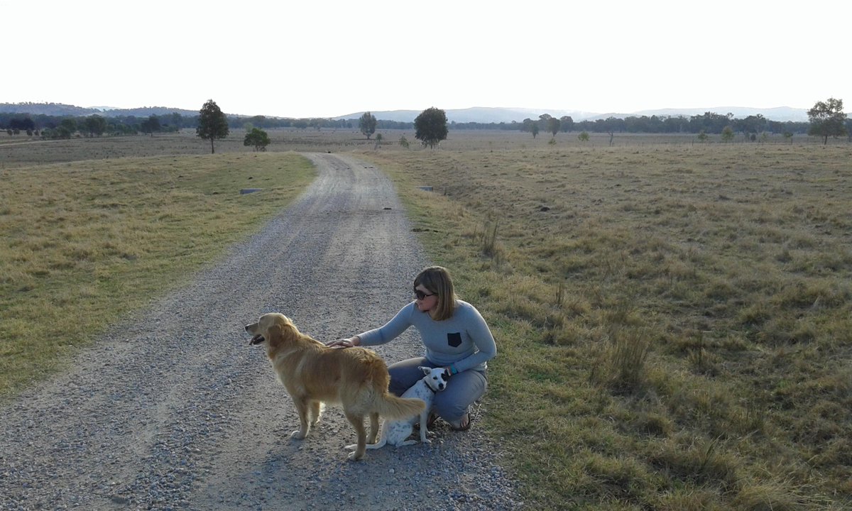 Chopstickstrain's tweet image. #Housesitting on a farm in #Australia. Taking a holiday from a #holiday, what a life! #travel #lifeontheroad