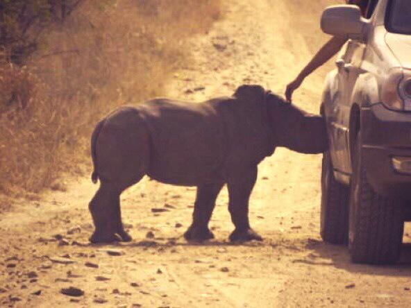 Don't be surprised when people don't care about a cause as much as you do. Don't be deterred either.