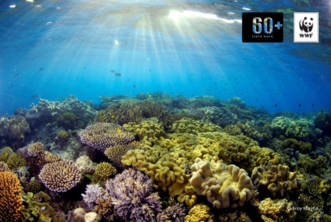 Yayasan WWF Indonesia tweet media