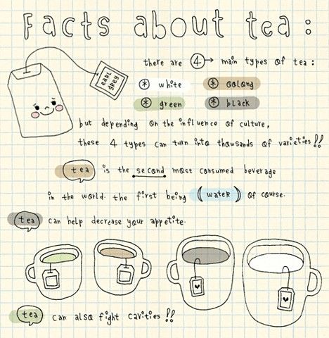 BirdandBlendTea's tweet photo. Love these cute #teafacts! #teahour #WeLoveTea #TeaTuesday http://t.co/aopS5XjEmn