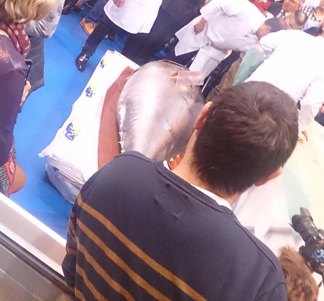 Jesus_Urbi's tweet photo. #SalonDeGourmets  impresionante atun rojo http://t.co/C42yDuN9TL