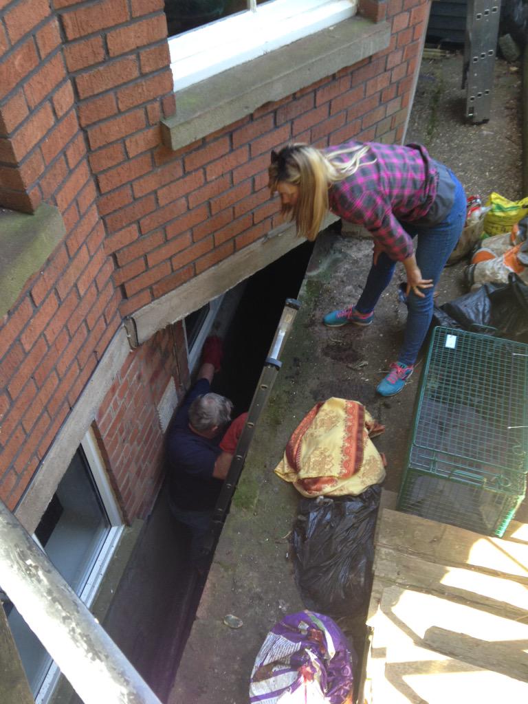 jay_goldfinch's tweet photo. #BadgerUpdate FREE AT LAST!!!! http://t.co/4hBAJyuWpn