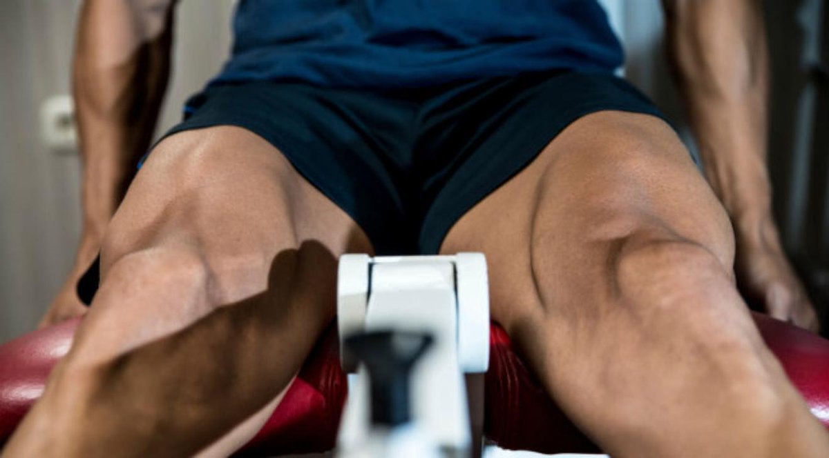 Crafting Bigger, Stronger Quads goo.gl/q1mm27 (via juice.li) #workout #fitness #gymlife